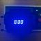 0.25 İnç 465nm 7 Segment Led Ekran 80mW Ultra Mavi