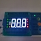 Sıcaklık Kontrolü için Ultra Beyaz/Kırmızı/Sarı/Yeşil 3 Haneli 7 Segment LED Ekran