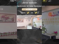 Küçük Boyut 8mm 6 Rakam 7 Bölüm LED Ekran 0.31 inç