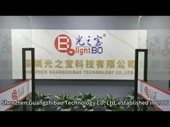 özel segment LED ekran