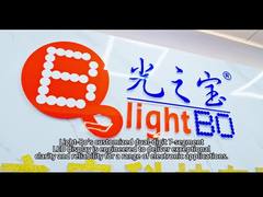 Özelleştirilmiş Çok Renkli 3 Haneli 7 Segmentli LED Ekran